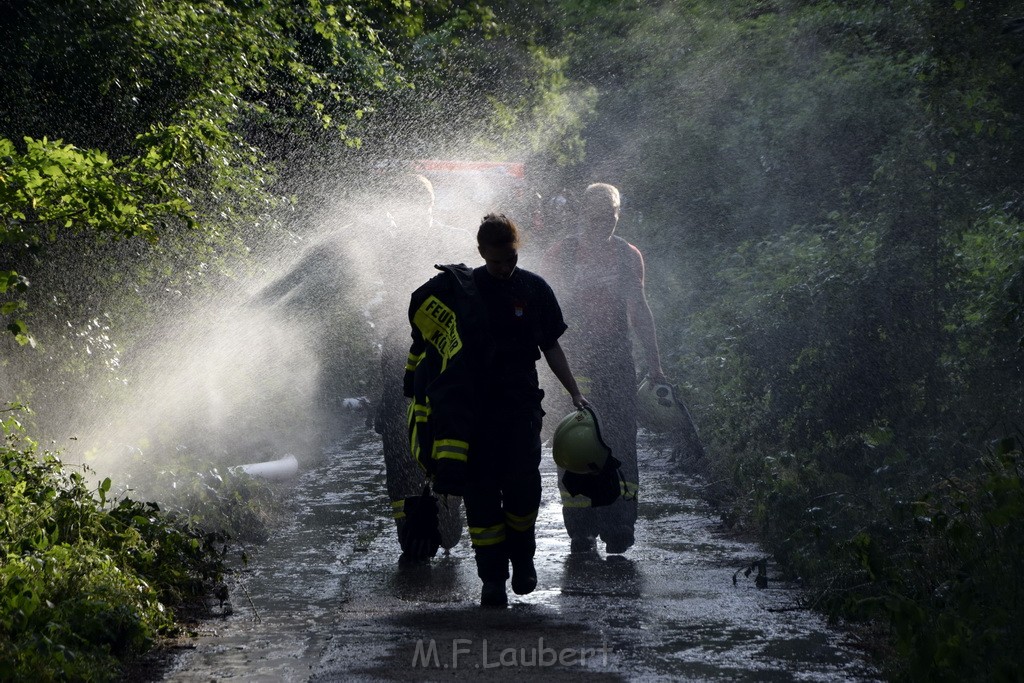 Waldbrand Koeln Hoehenhaus Hoehenfelder Mauspfad P188.JPG - Miklos Laubert